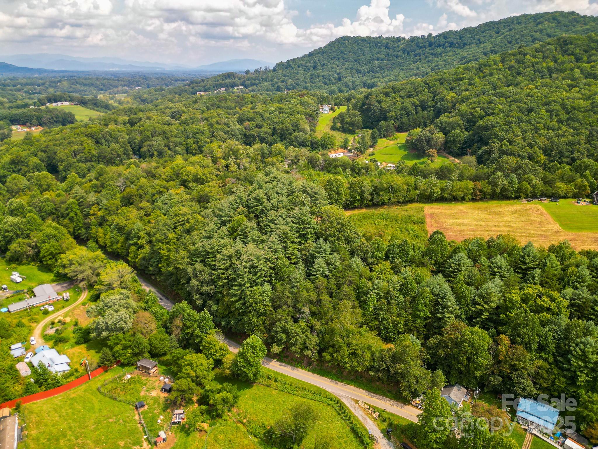 99999 Morgan Cove Road Candler NC 28715