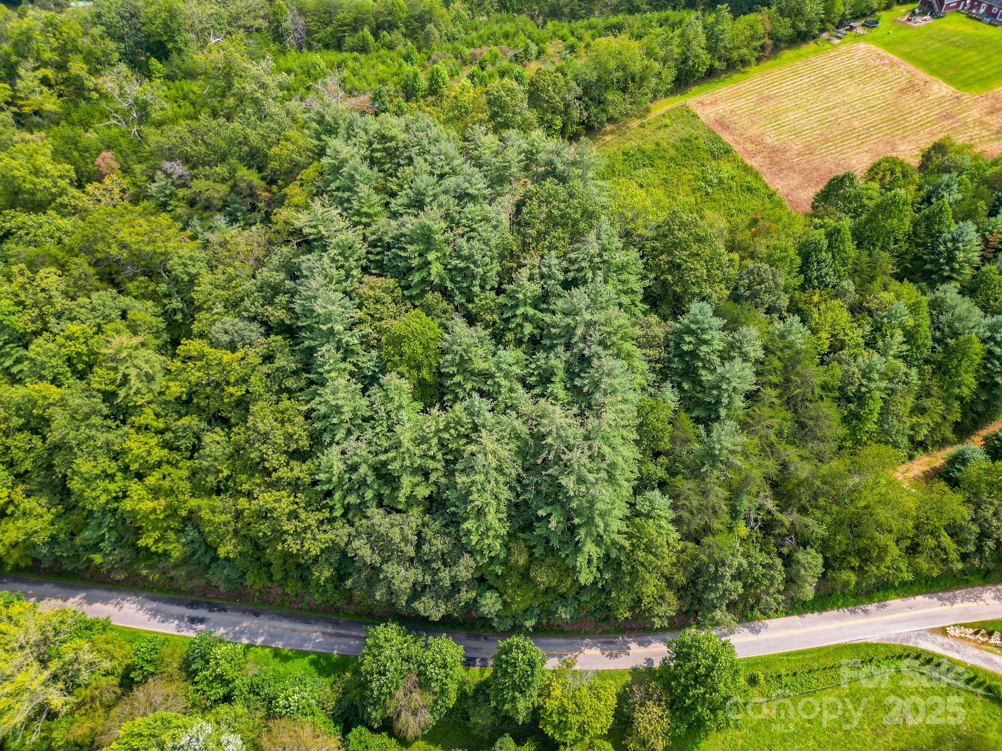 99999 Morgan Cove Road Candler NC 28715
