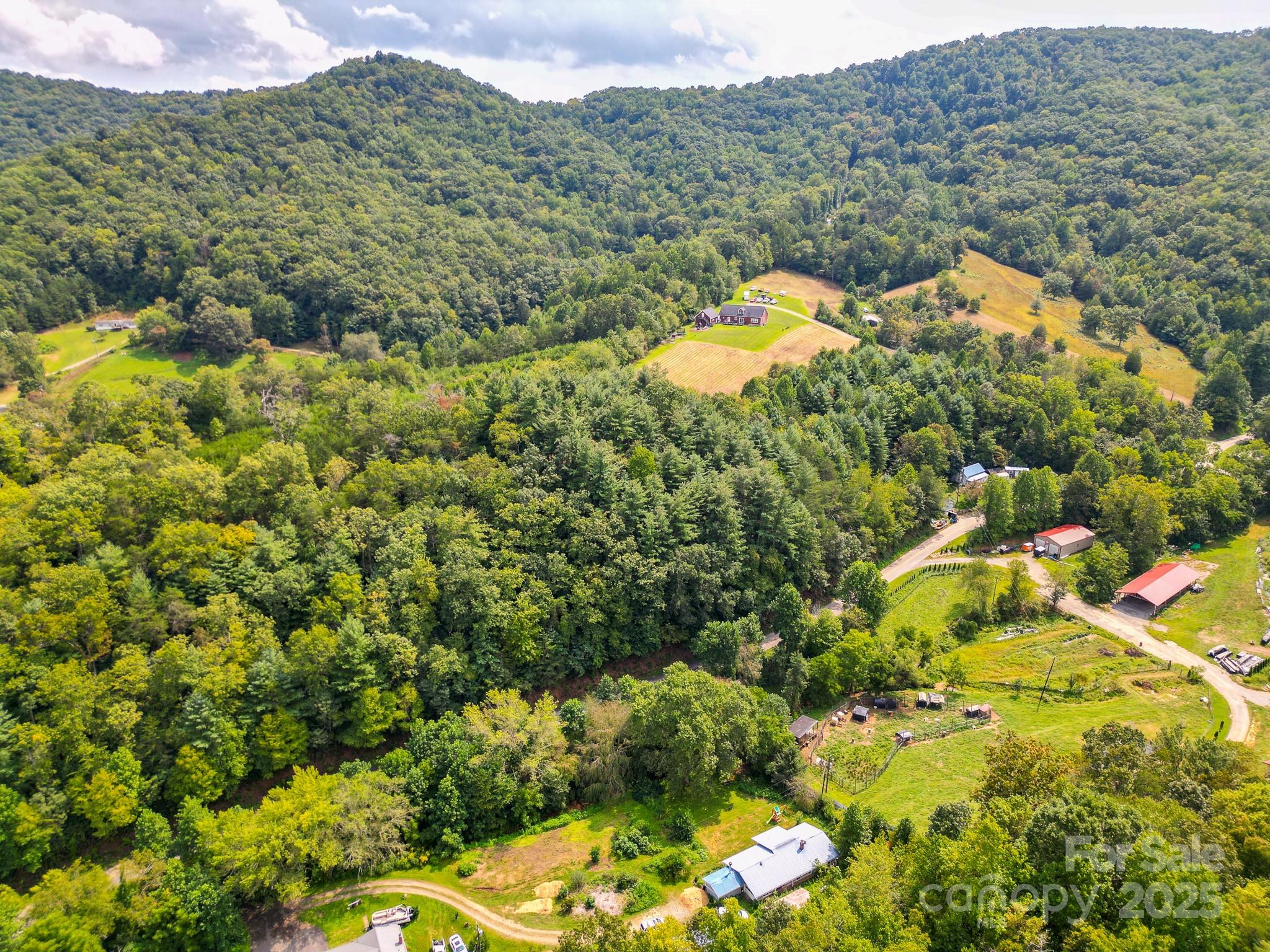 99999 Morgan Cove Road Candler NC 28715