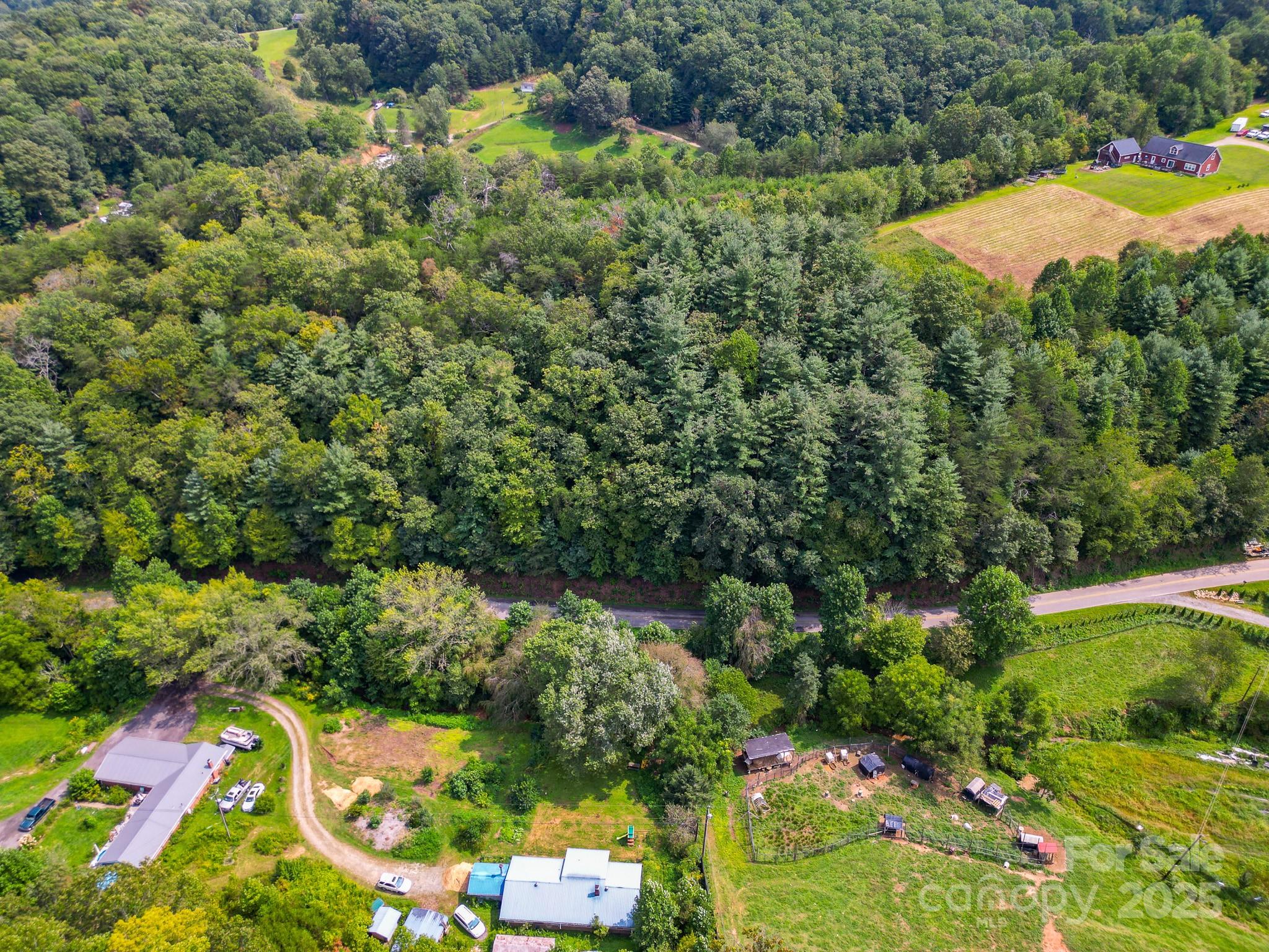 99999 Morgan Cove Road Candler NC 28715