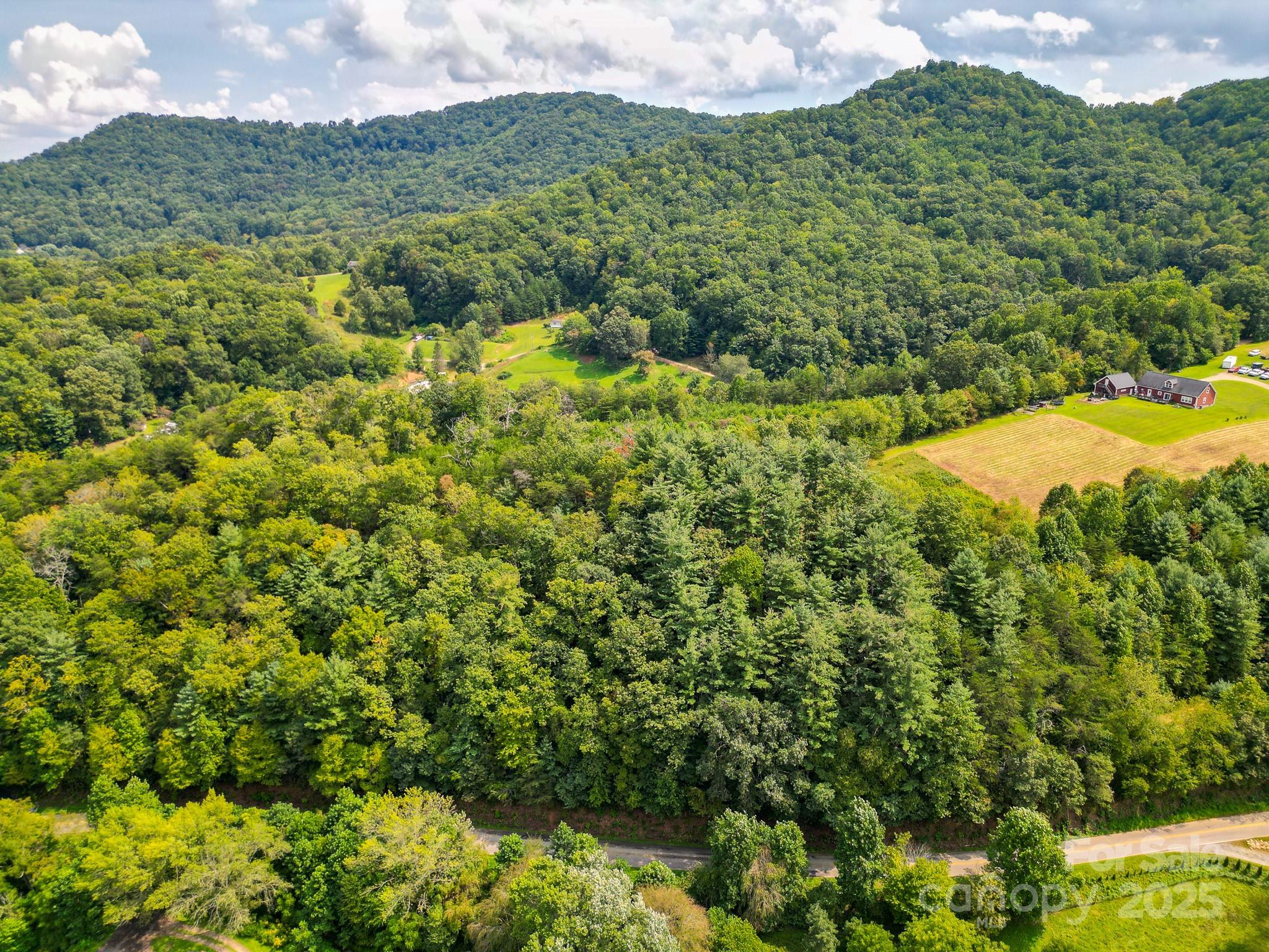 99999 Morgan Cove Road Candler NC 28715
