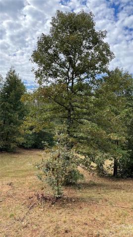 0 Wilma Sigmon Road Lincolnton NC 28092