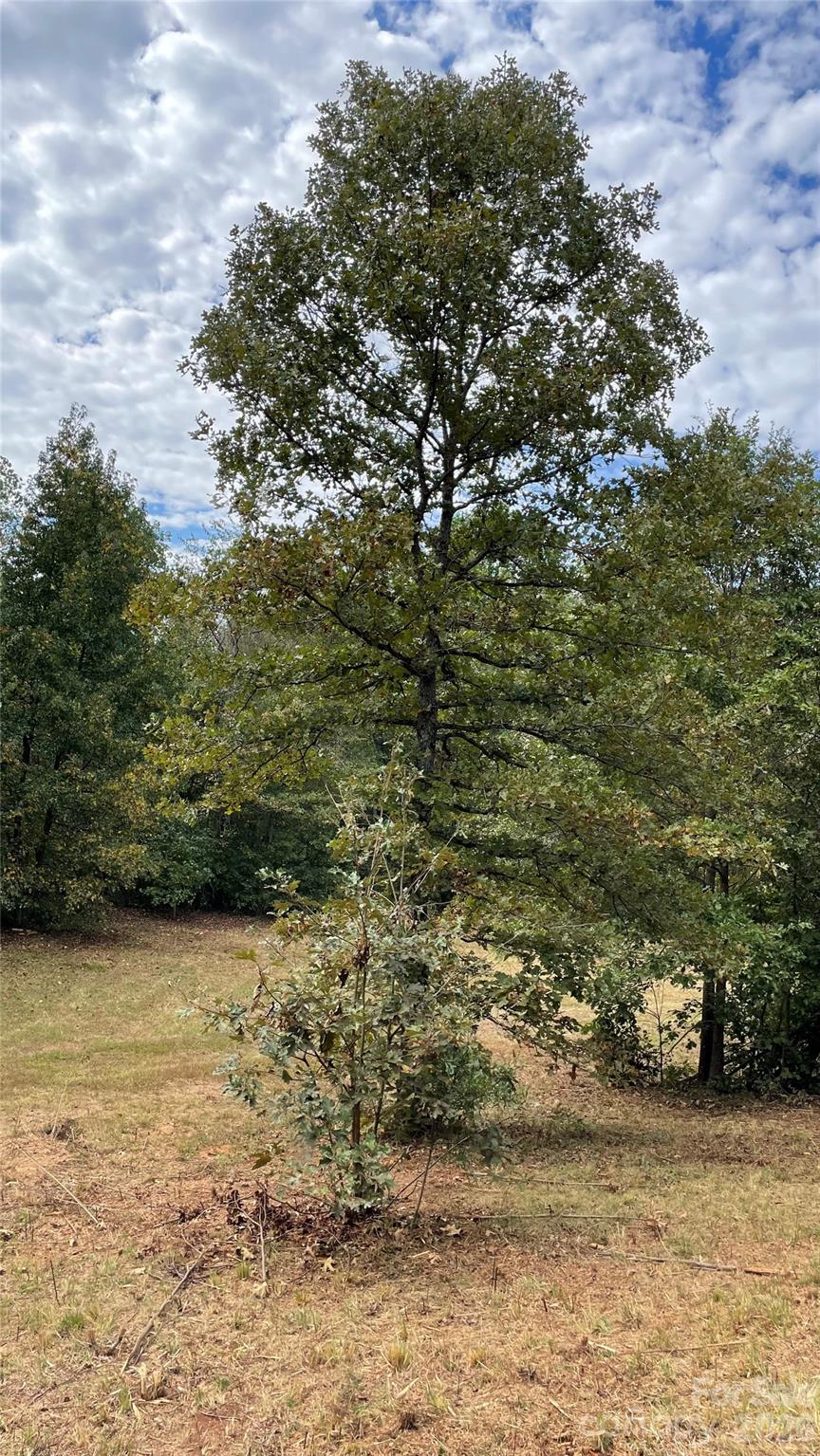 0 Wilma Sigmon Road Lincolnton NC 28092