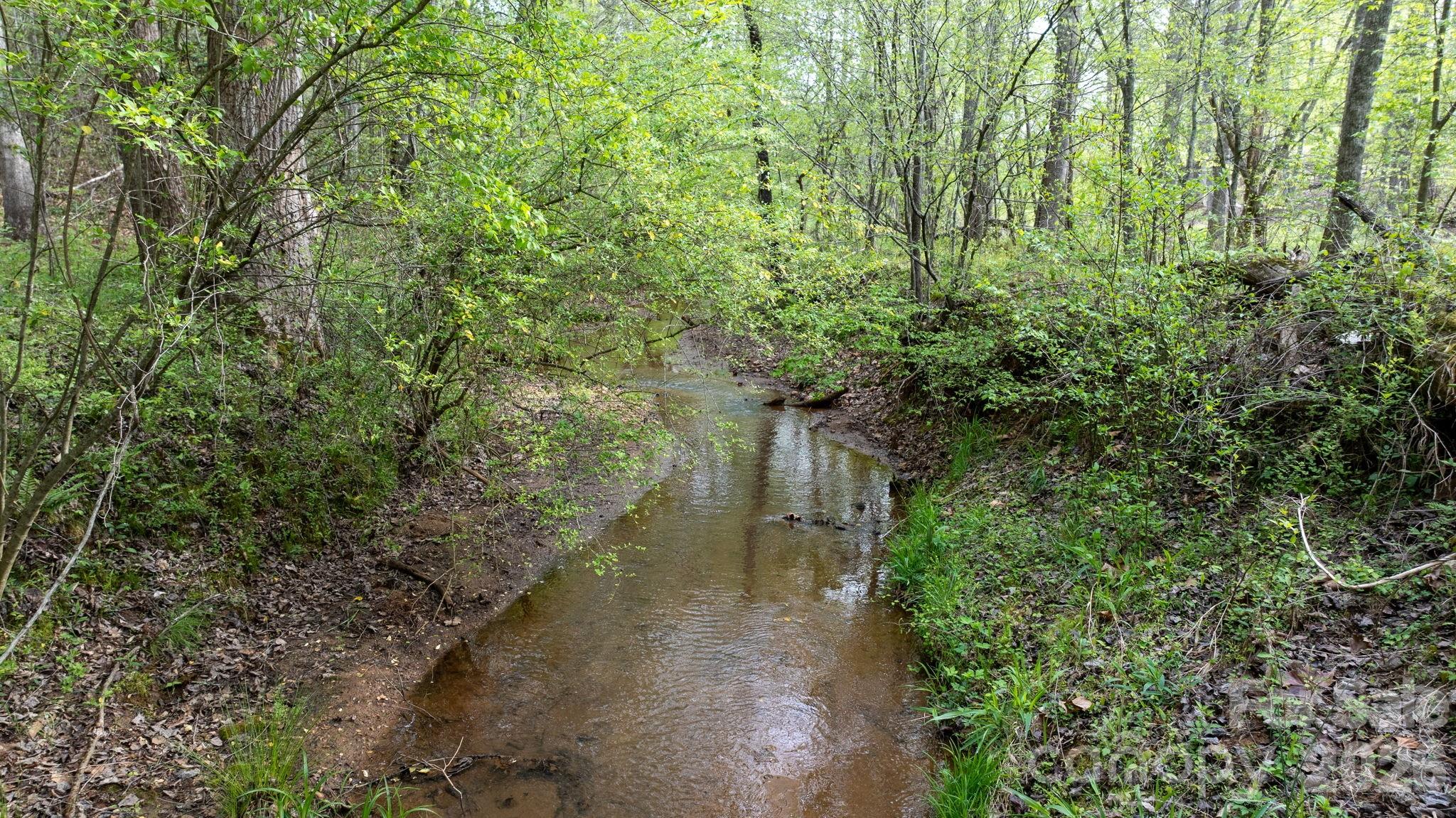 0 Flowing Ivy Lane Claremont NC 28610