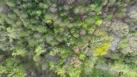 0 Flowing Ivy Lane Claremont NC 28610