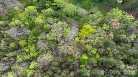 0 Flowing Ivy Lane Claremont NC 28610