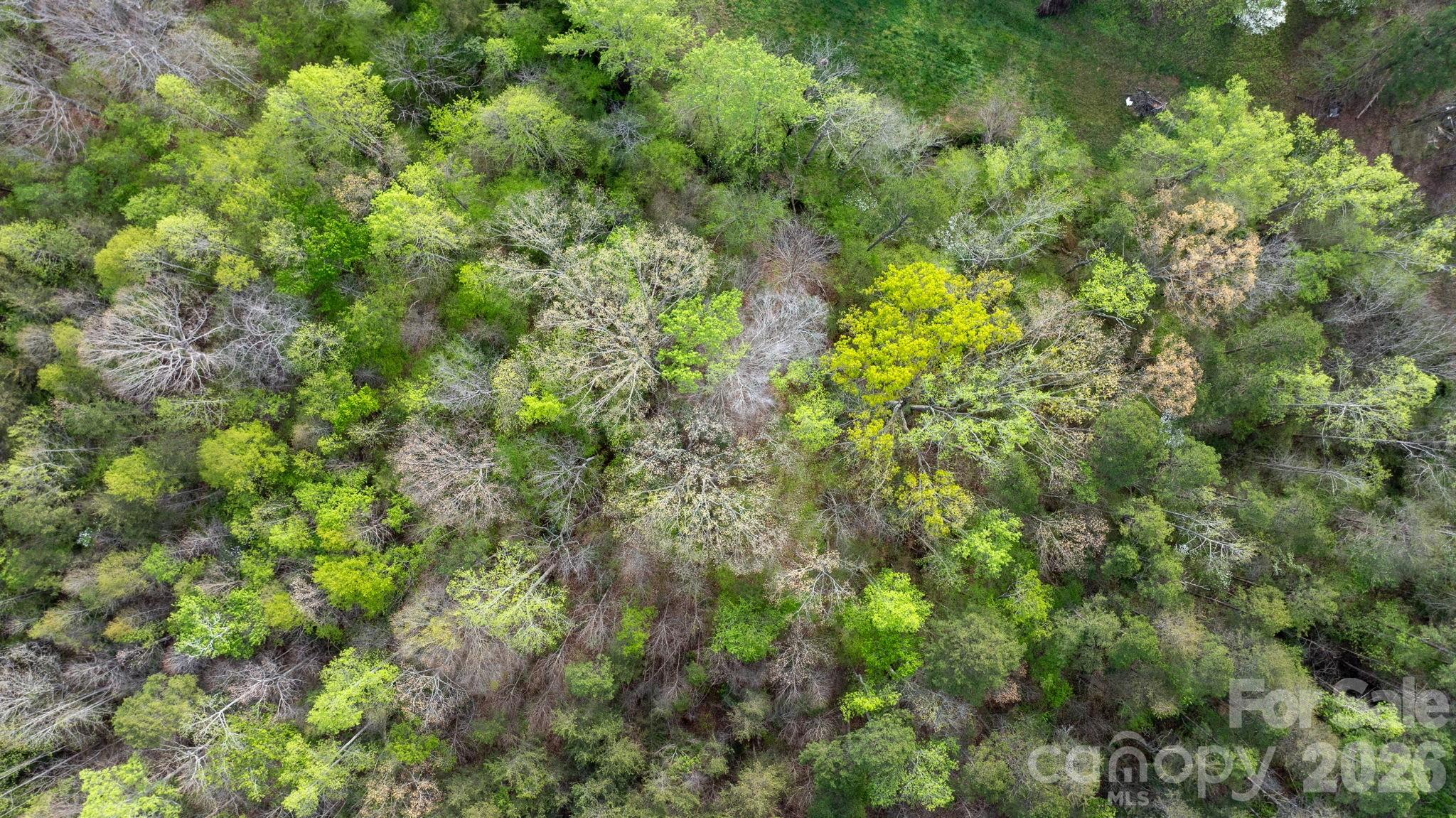 0 Flowing Ivy Lane Claremont NC 28610
