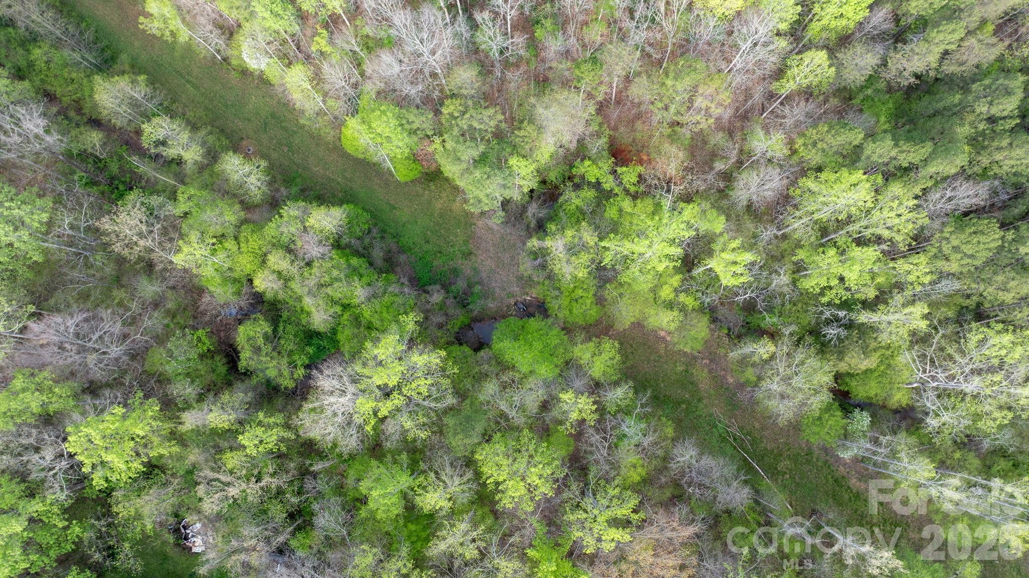 0 Flowing Ivy Lane Claremont NC 28610
