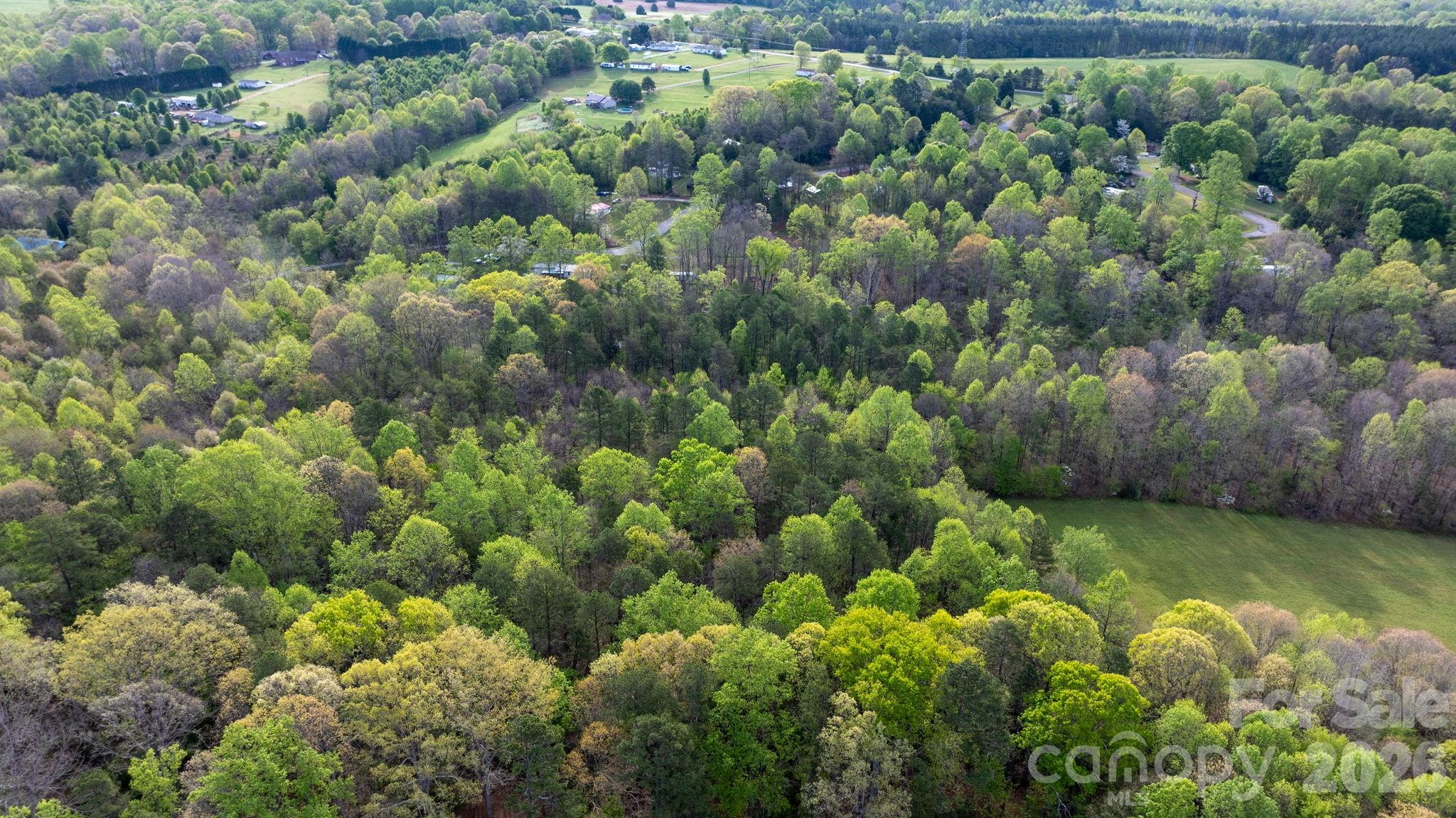 0 Flowing Ivy Lane Claremont NC 28610