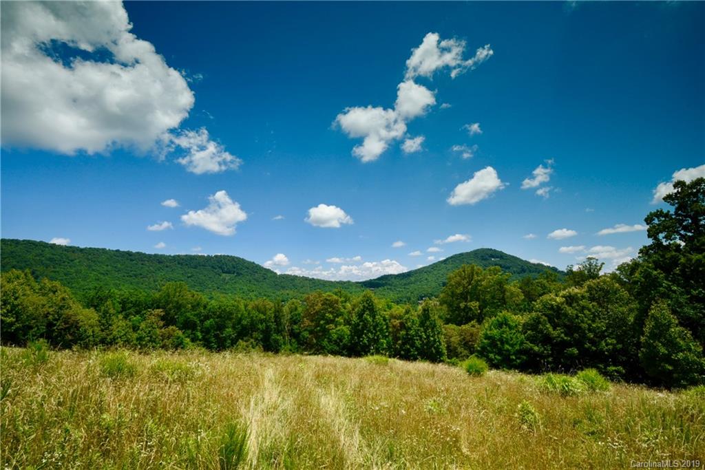 5 Smokey Ridge Trail Arden NC 28704
