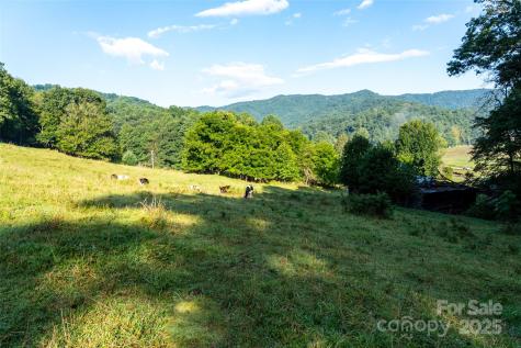 44 Jenkins Road Waynesville NC 28785