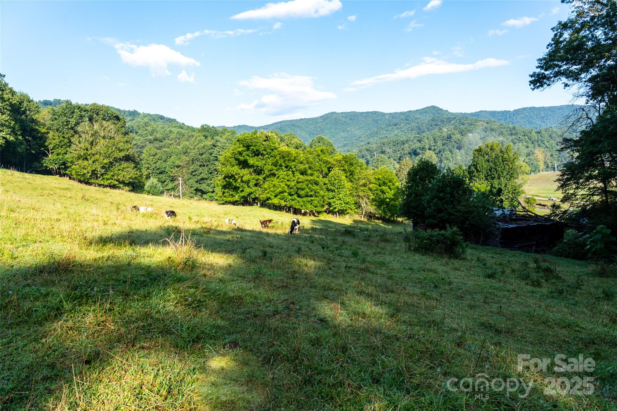 44 Jenkins Road Waynesville NC 28785