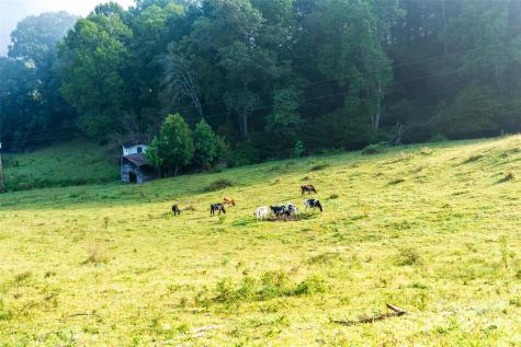 44 Jenkins Road Waynesville NC 28785