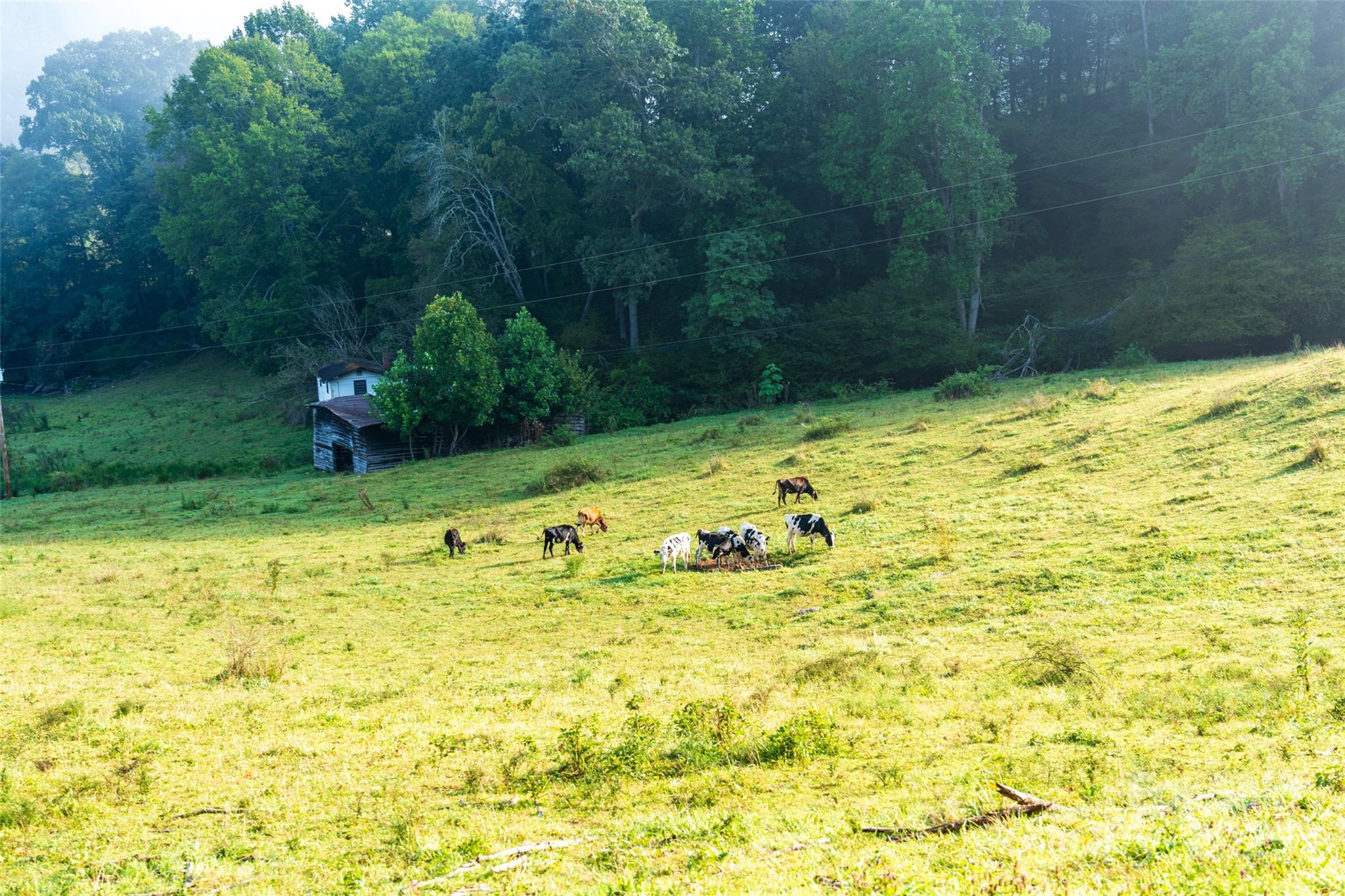 44 Jenkins Road Waynesville NC 28785