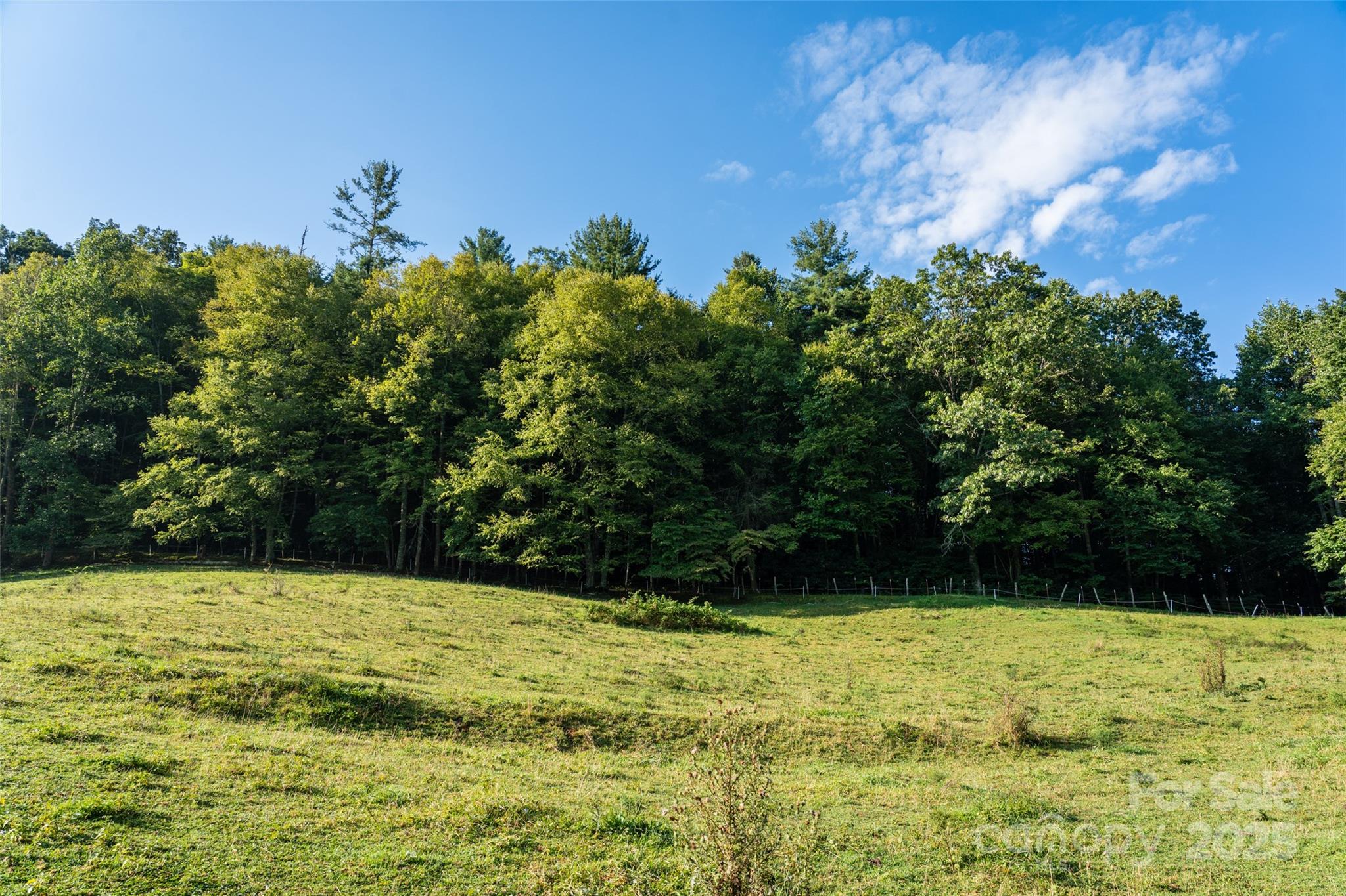 44 Jenkins Road Waynesville NC 28785