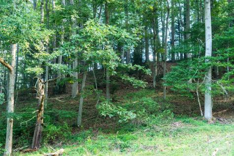 44 Jenkins Road Waynesville NC 28785