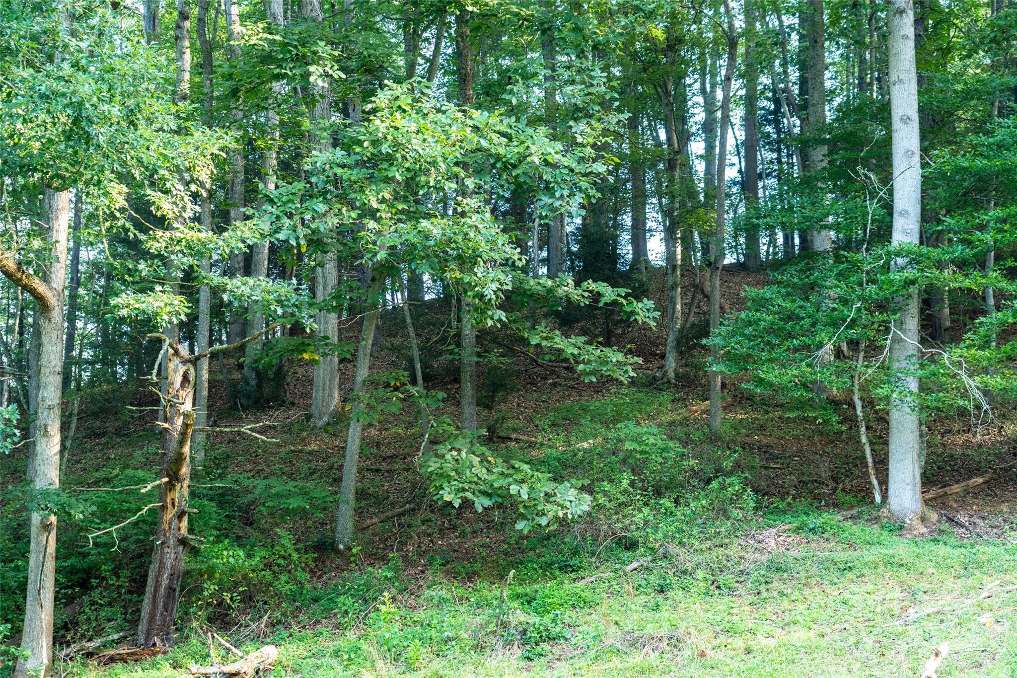 44 Jenkins Road Waynesville NC 28785