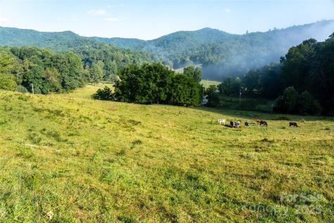 44 Jenkins Road Waynesville NC 28785
