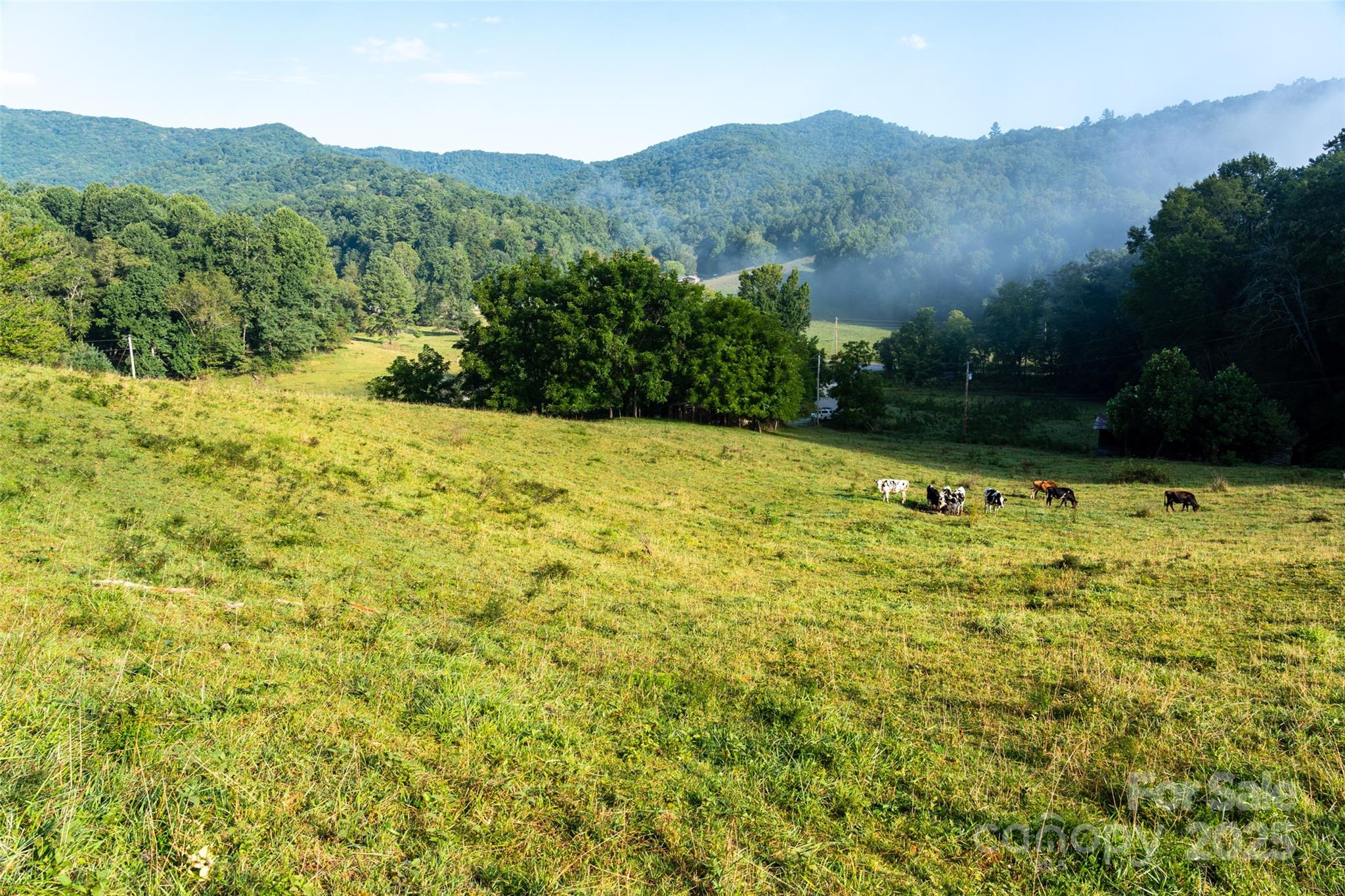 44 Jenkins Road Waynesville NC 28785