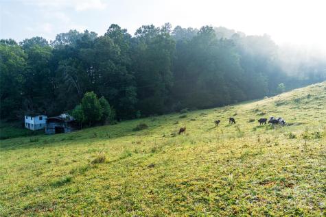 44 Jenkins Road Waynesville NC 28785