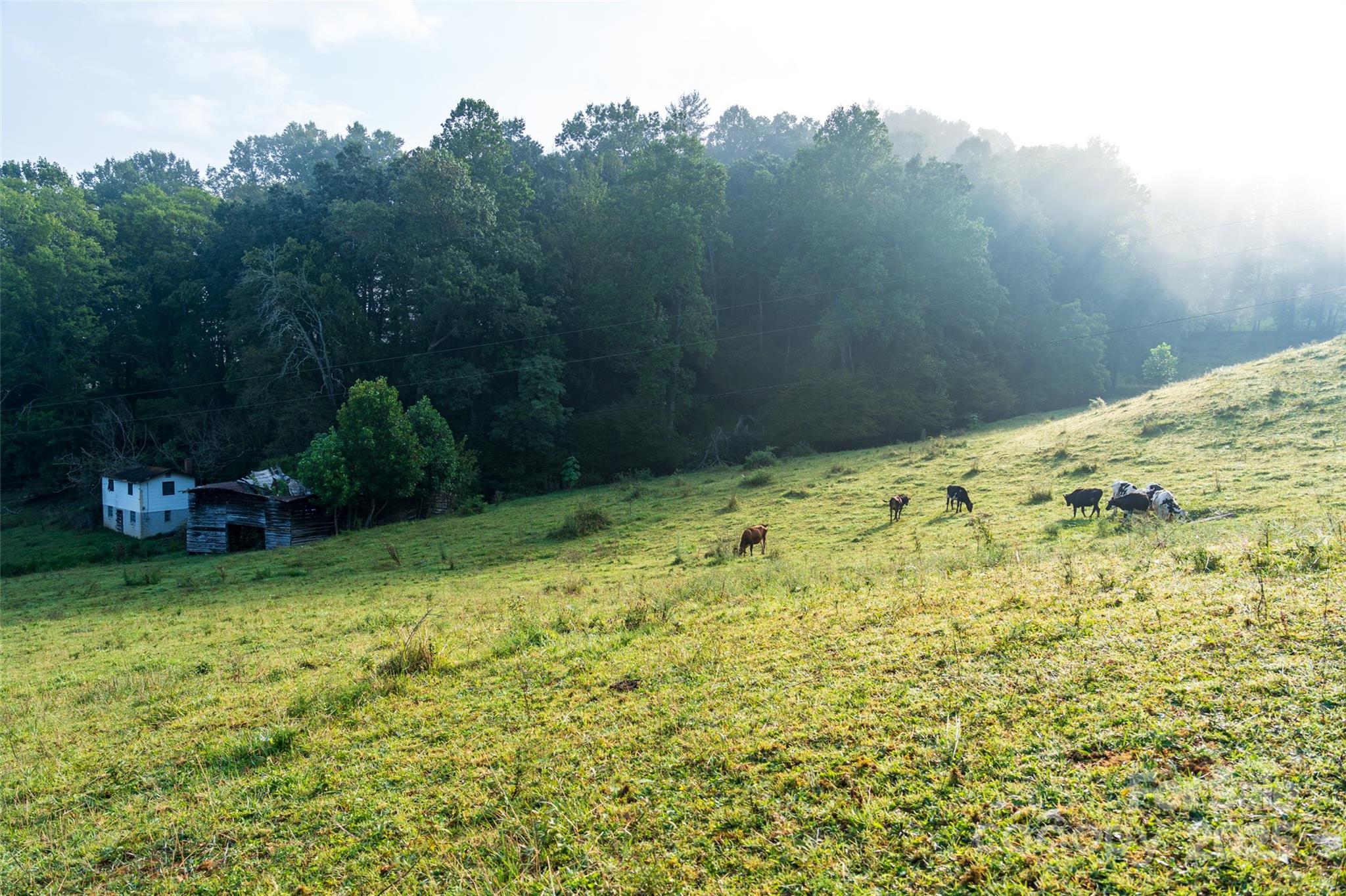 44 Jenkins Road Waynesville NC 28785