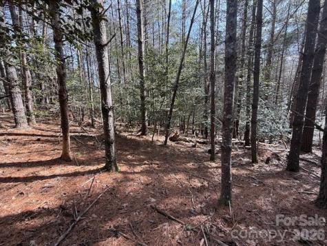 1386 Southpointe Drive Morganton NC 28655