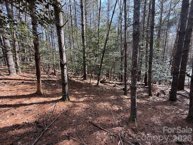 1386 Southpointe Drive Morganton NC 28655
