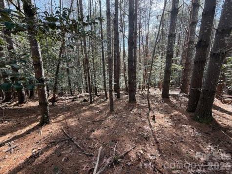 1386 Southpointe Drive Morganton NC 28655