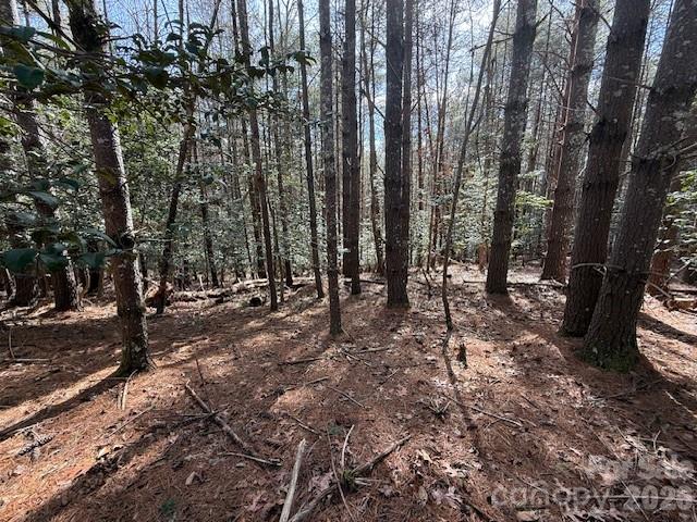 1386 Southpointe Drive Morganton NC 28655