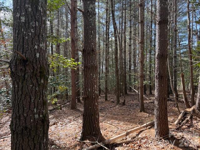 1386 Southpointe Drive Morganton NC 28655