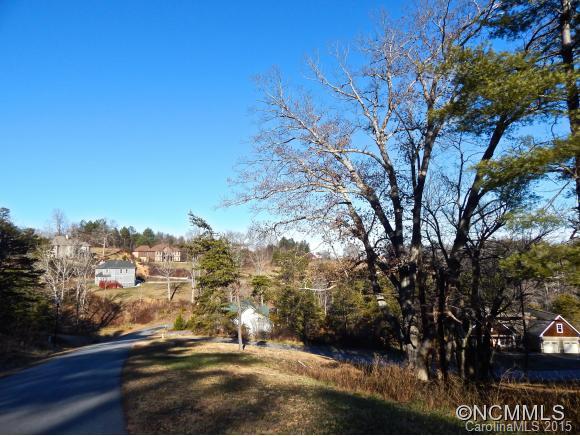 3 Magnolia Valley Court Asheville NC 28806