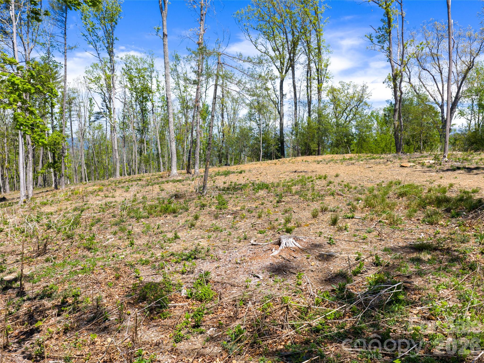 693 Tea House Drive Asheville NC 28803