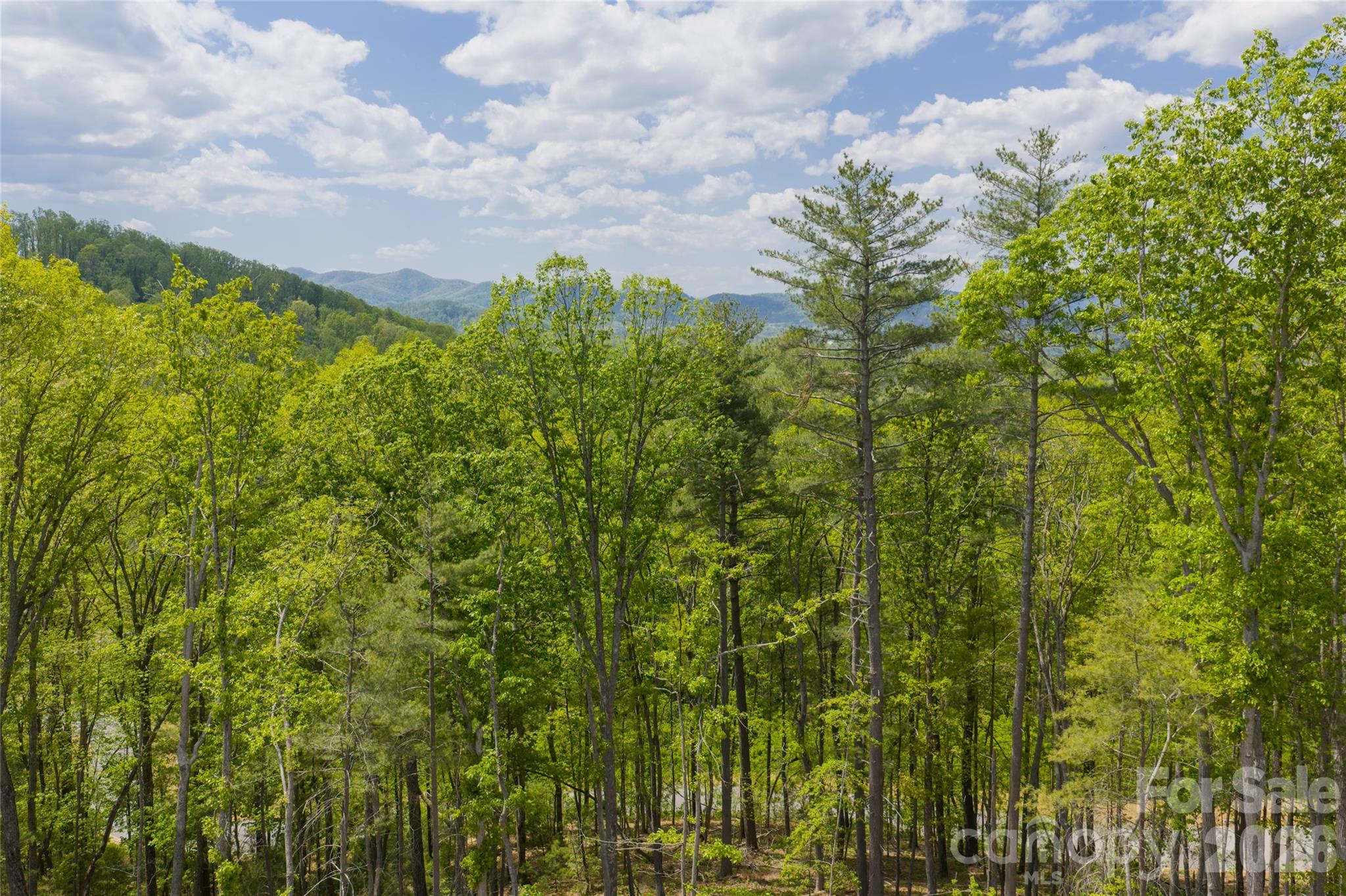 693 Tea House Drive Asheville NC 28803