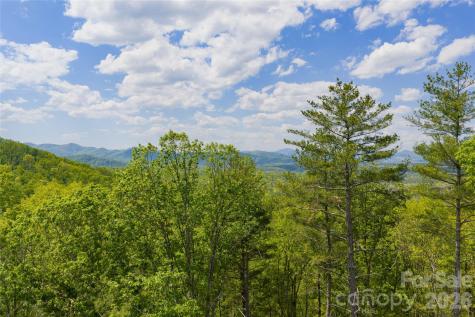693 Tea House Drive Asheville NC 28803