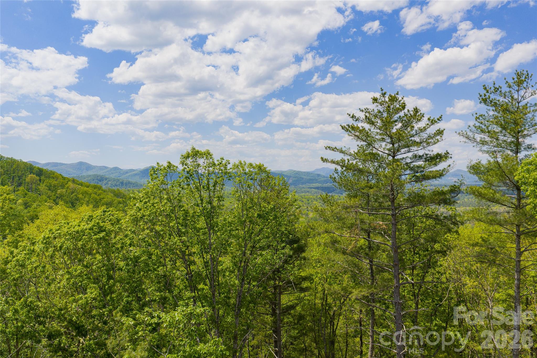 693 Tea House Drive Asheville NC 28803