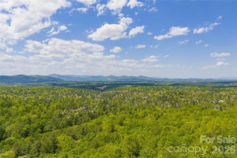 693 Tea House Drive Asheville NC 28803