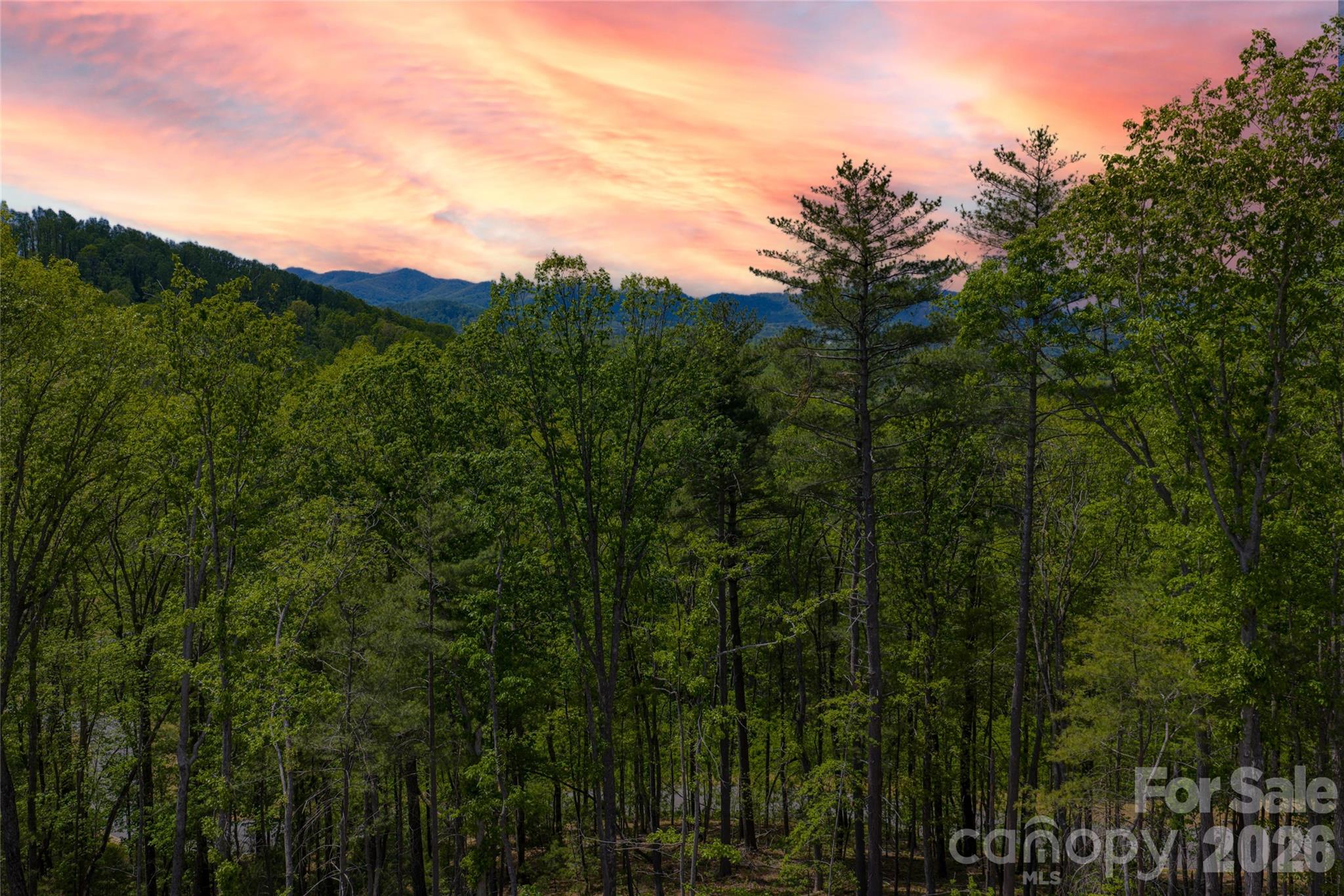693 Tea House Drive Asheville NC 28803
