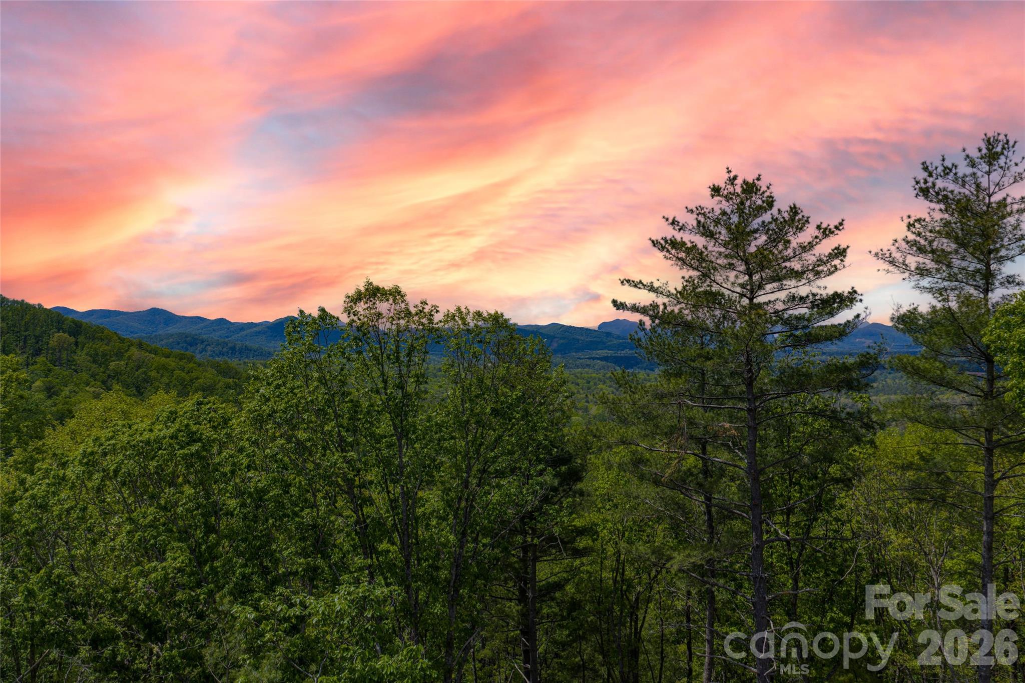 693 Tea House Drive Asheville NC 28803