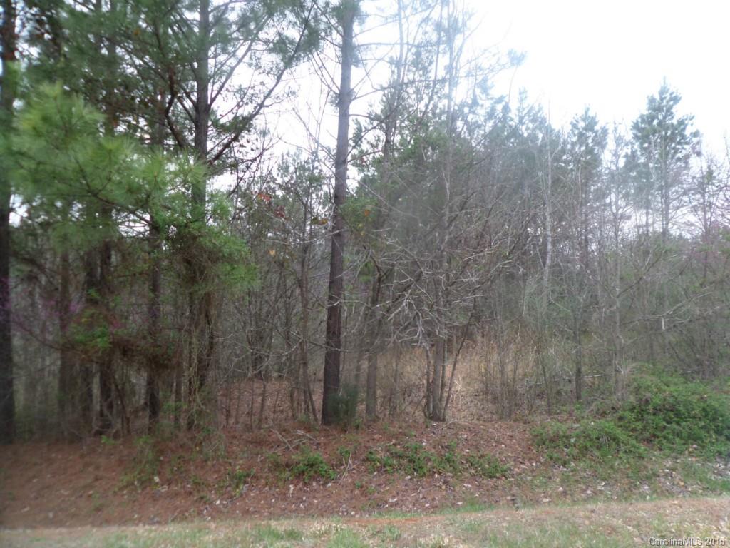 5045 Stockbridge Drive Mount Holly NC 28120