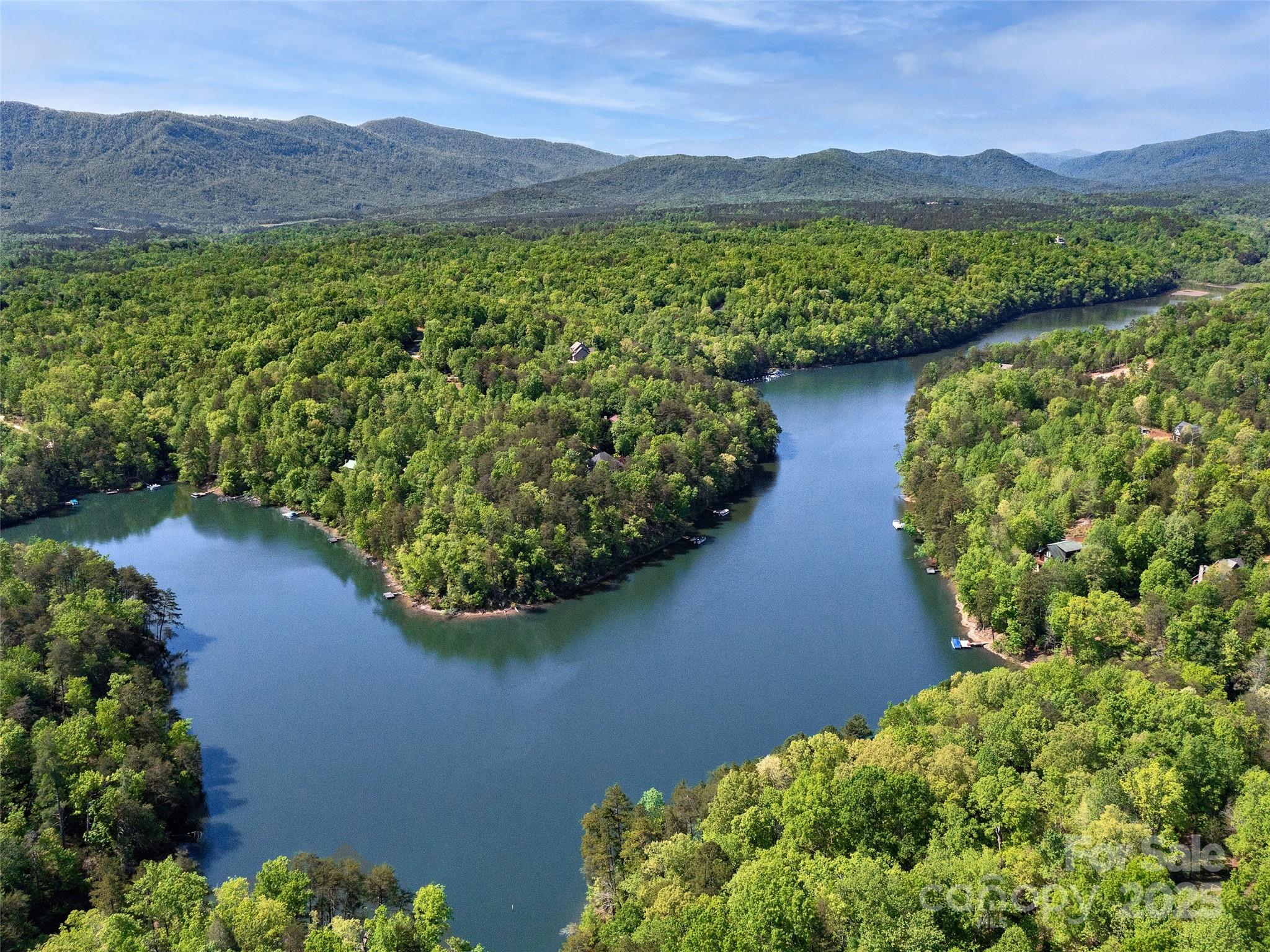 Lot 17-1 Village Park Lane Mill Spring NC 28756