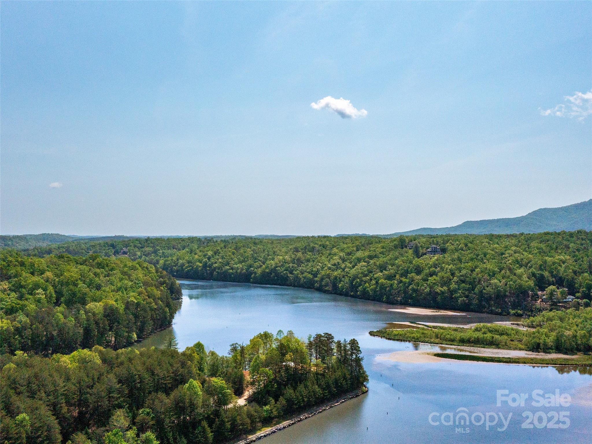 Lot 17-1 Village Park Lane Mill Spring NC 28756