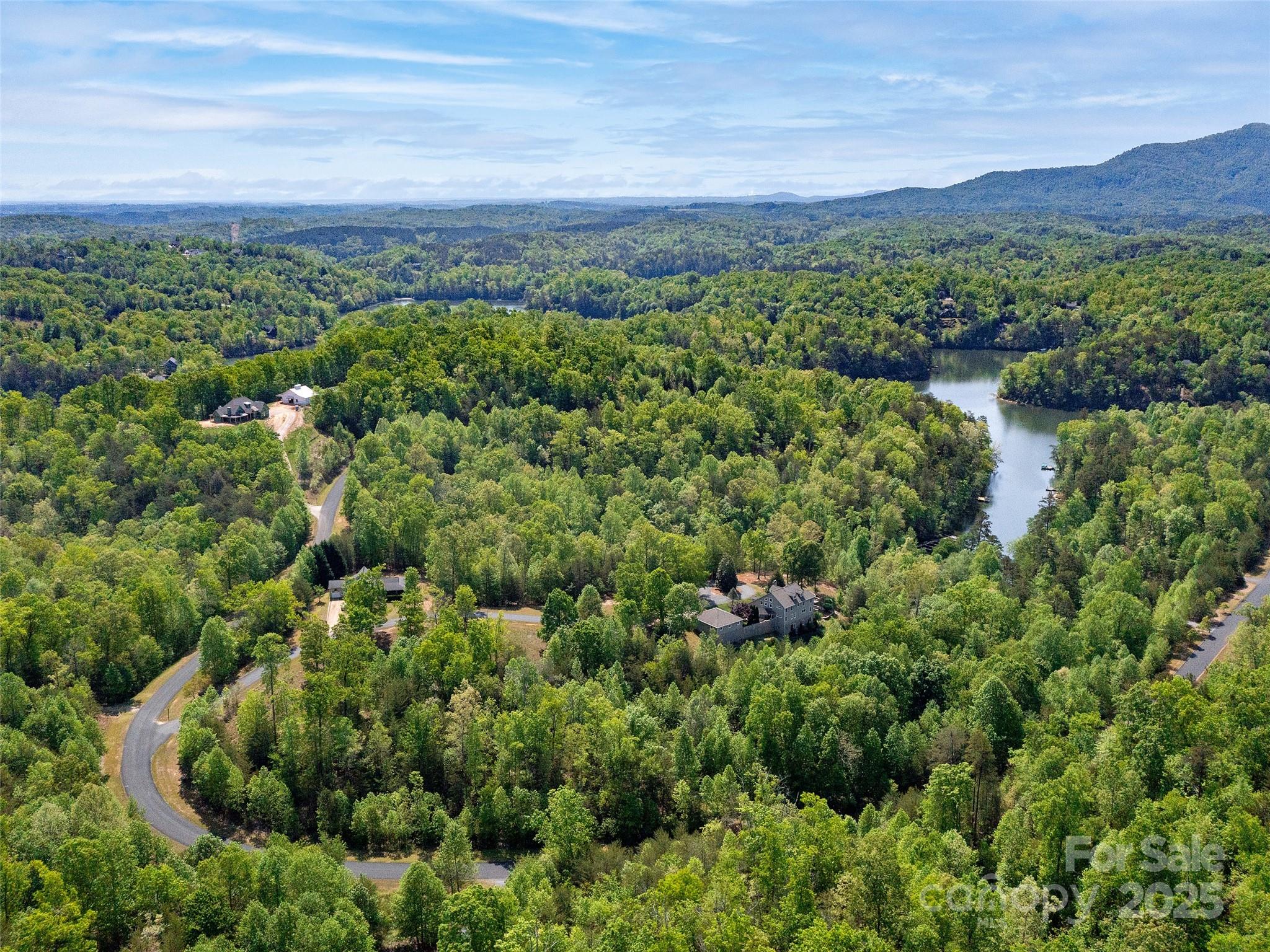 Lot 17-1 Village Park Lane Mill Spring NC 28756