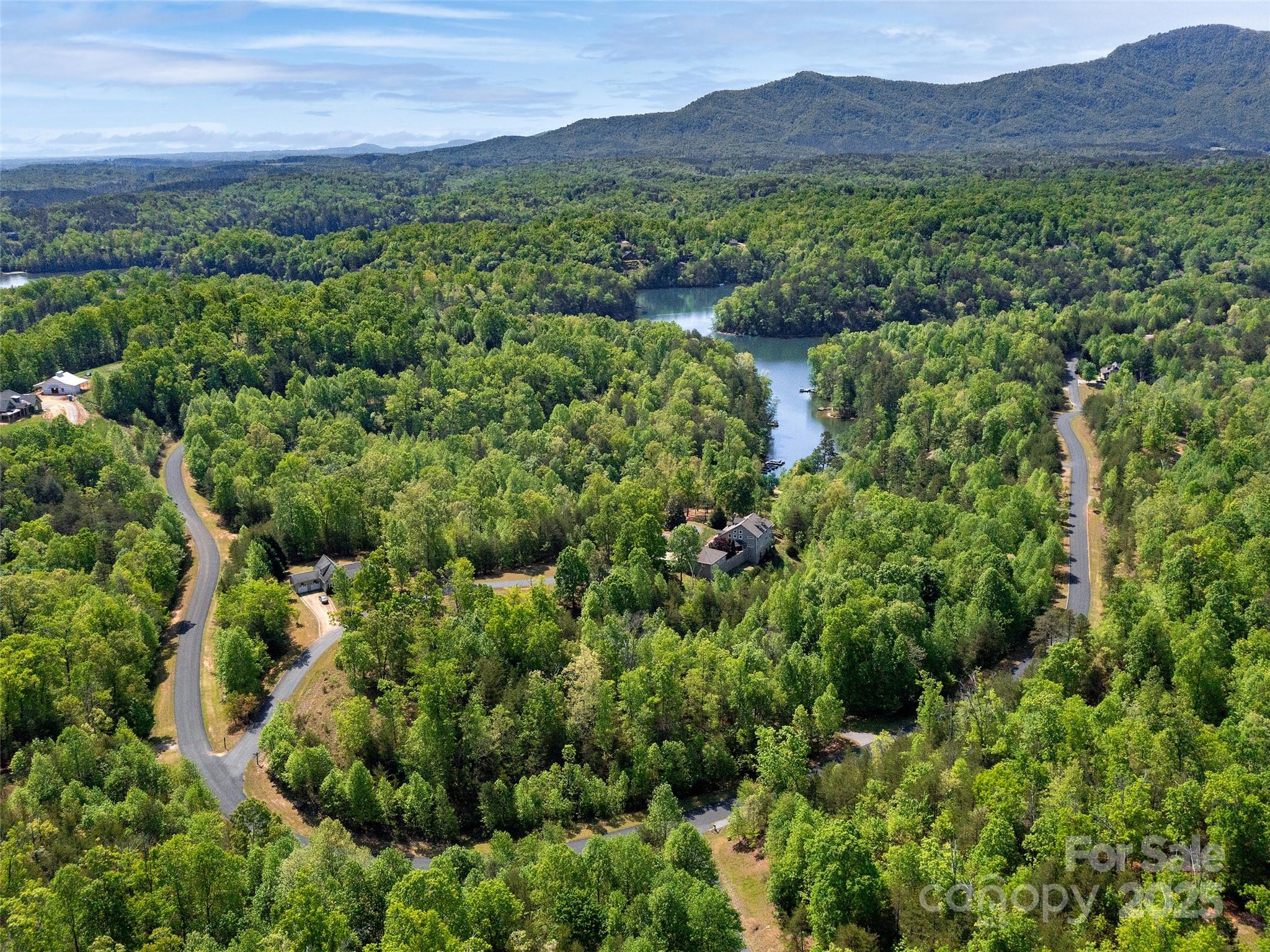 Lot 17-1 Village Park Lane Mill Spring NC 28756