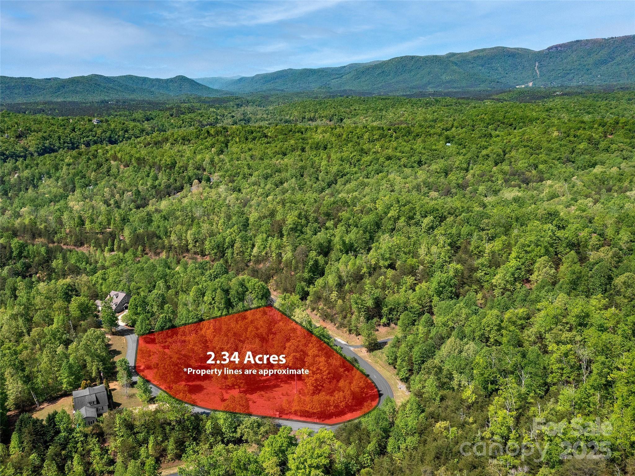 Lot 17-1 Village Park Lane Mill Spring NC 28756