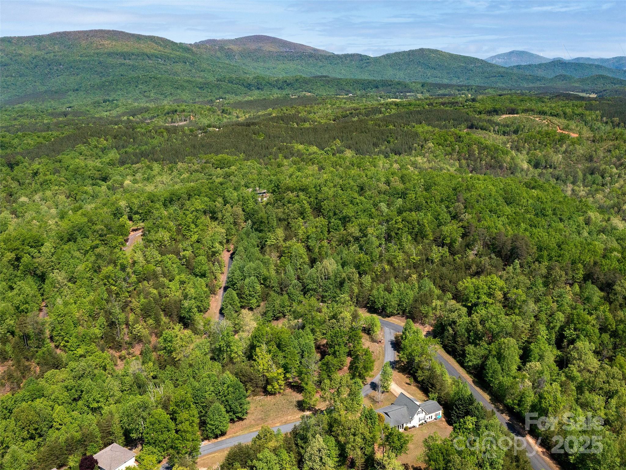 Lot 17-1 Village Park Lane Mill Spring NC 28756
