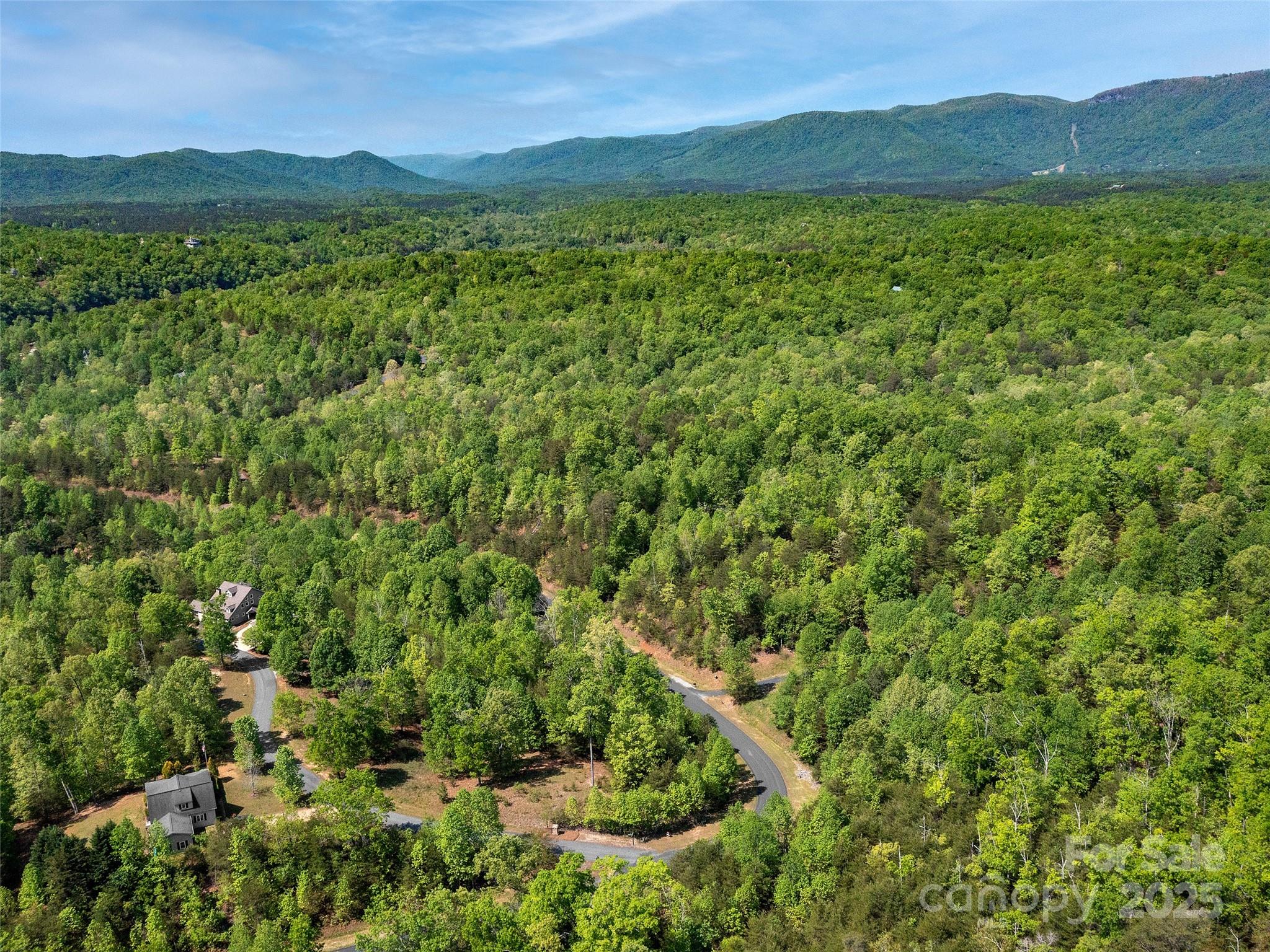 Lot 17-1 Village Park Lane Mill Spring NC 28756