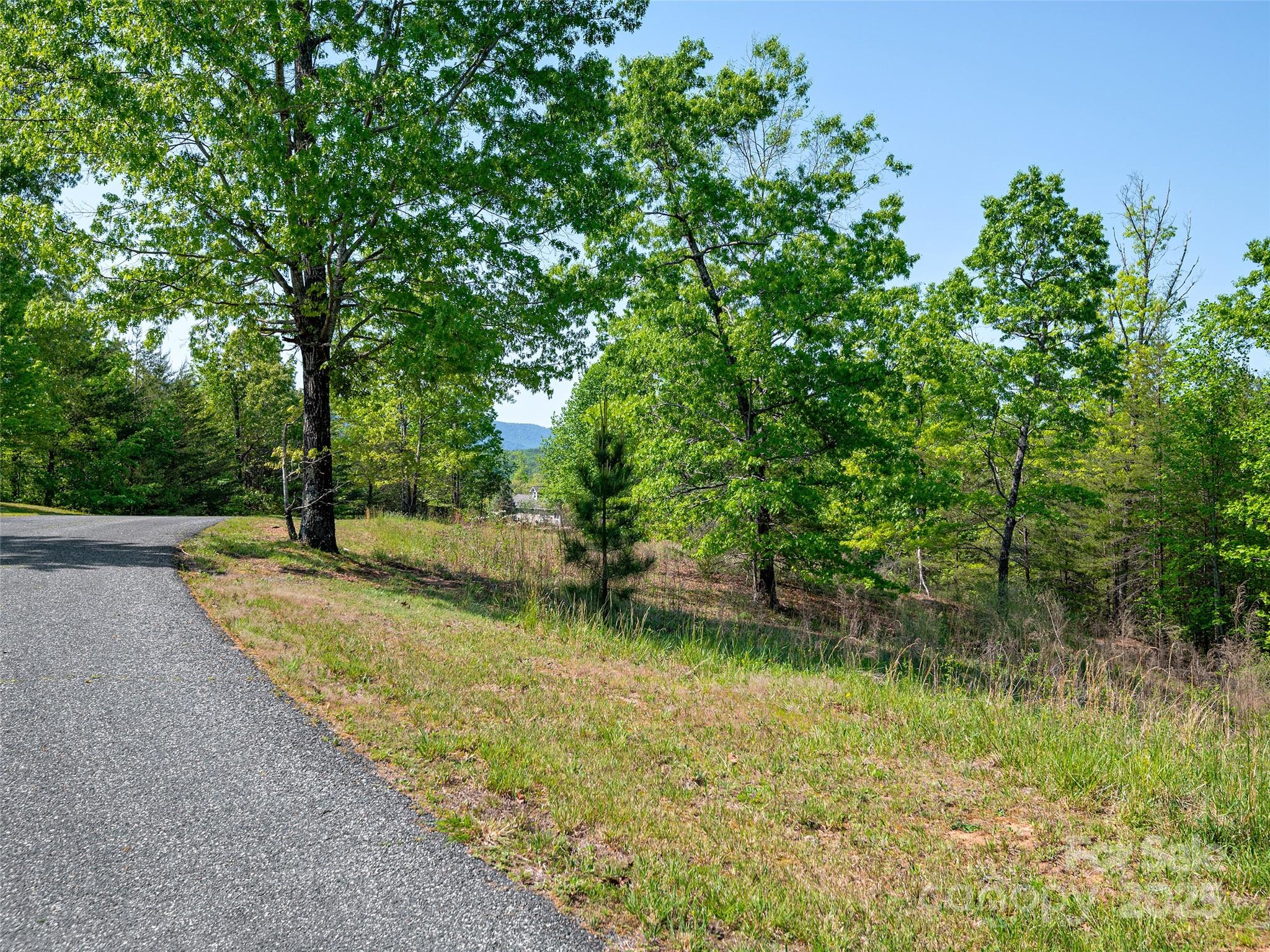 Lot 17-1 Village Park Lane Mill Spring NC 28756