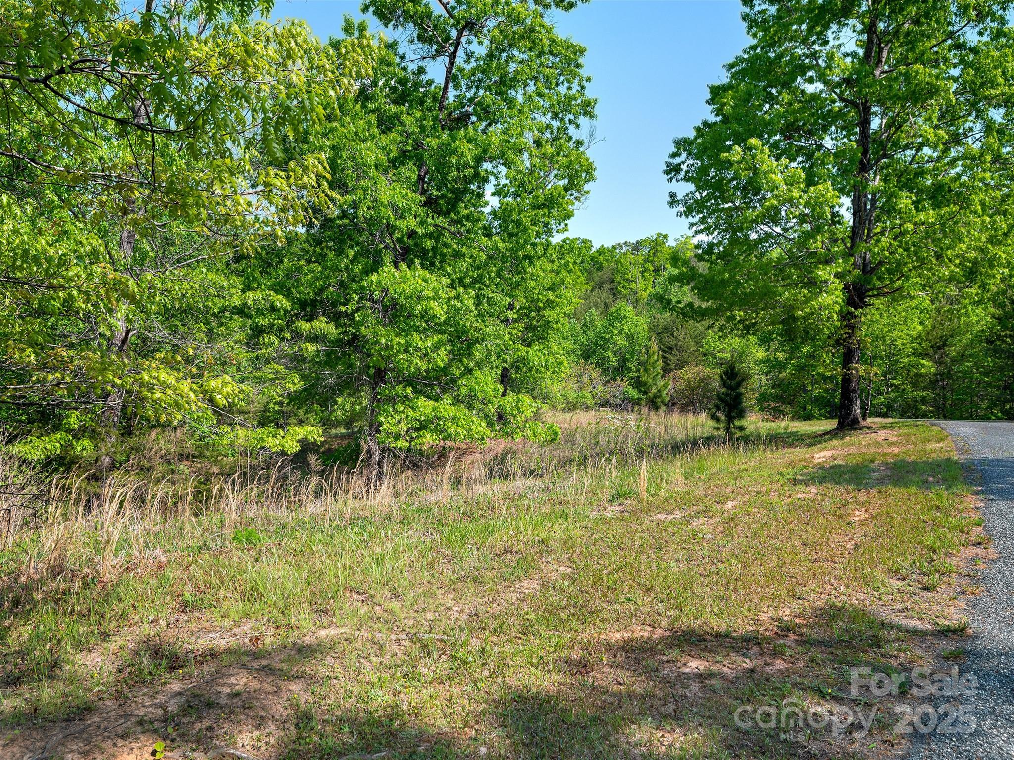 Lot 17-1 Village Park Lane Mill Spring NC 28756