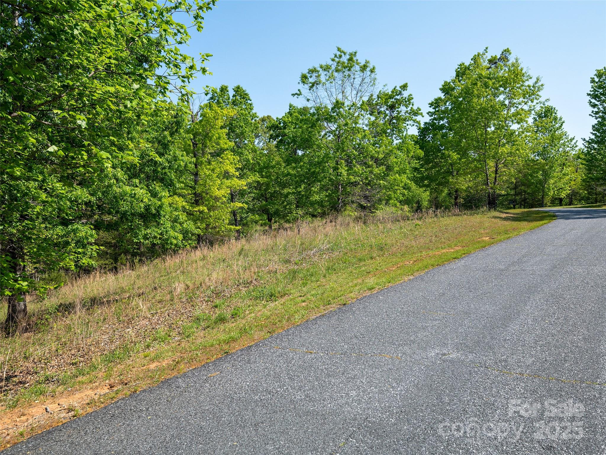 Lot 17-1 Village Park Lane Mill Spring NC 28756