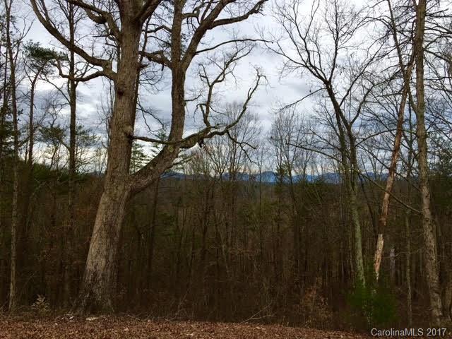 30 Tulip Poplar Trail Asheville NC 28804